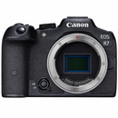 Canon EOS R7 (Corpo)
